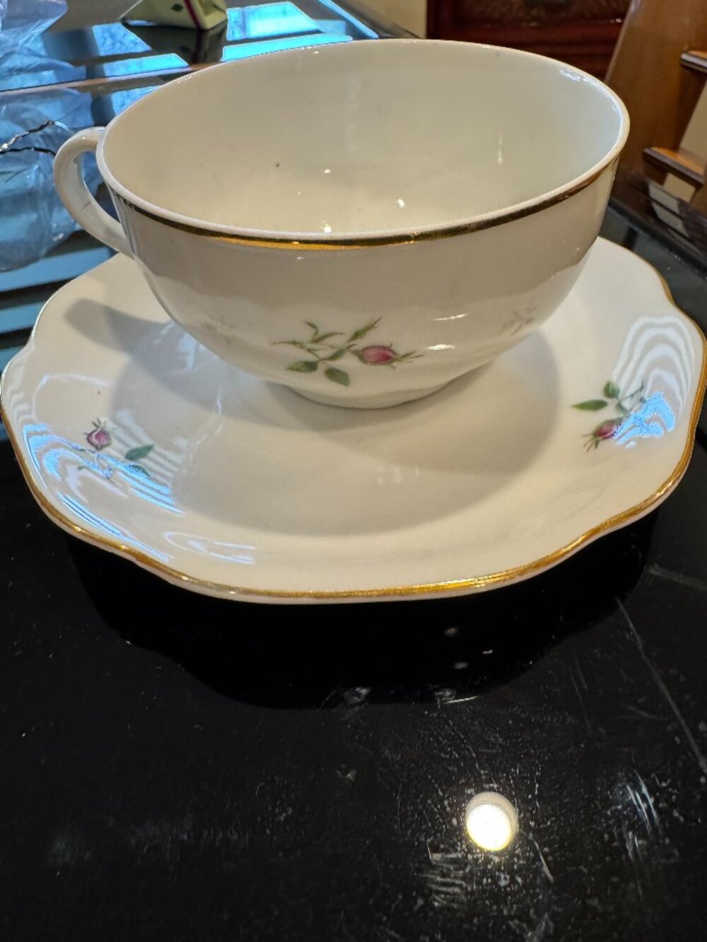 Fine Bohemian China Teacup and Saucer -Wild Rose